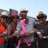 Foto Pinkpop 2014 - dag 2