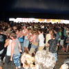 Foto Lowlands 2014 - dag 1