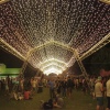 Sfeerfoto Sziget 2014