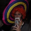 Foto Halloween Hairball