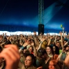 Foto Down The Rabbit Hole 2015