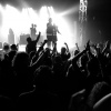 Foto Down The Rabbit Hole 2015