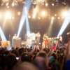 Foto Down The Rabbit Hole 2015