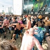 Foto Schollenpop