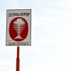 Foto Schollenpop