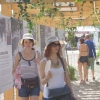 Foto Sziget 2015