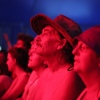 Sfeerfoto Sziget 2015