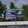 Foto Sziget 2015