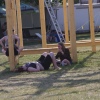 Foto Sziget 2015
