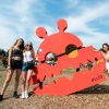 Foto Lowlands