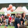 Foto Lowlands 2015 - zondag