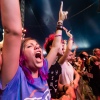 Foto Lowlands