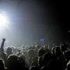Sfeerfoto Pleinvrees 020 2015