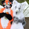 Foto Elfia 2016
