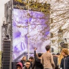 Foto Nassau Festival