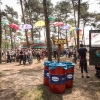 Foto Dauwpop 2016
