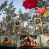 Foto Dauwpop 2016