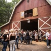 Foto Dauwpop