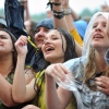 Foto Pinkpop 2016