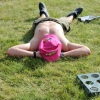 Foto Pinkpop 2016