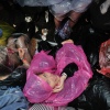Foto Pinkpop 2016