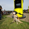 Foto Pinkpop 2016