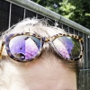 Foto Werfpop