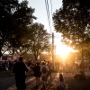 Sfeerfoto Sziget 2016