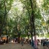 Sfeerfoto Sziget 2016