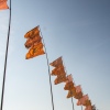 Foto Mysteryland