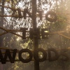 Foto Into the Woods 2016