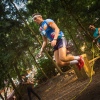Foto Into the Woods