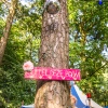 Foto Into the Woods 2016