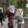 Foto Elfia 2017