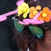 Sfeerfoto Pinkpop 2017