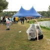 Foto Down The Rabbit Hole 2017