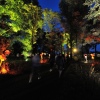 Sfeerfoto Welcome to the Village