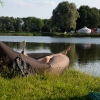 Sfeerfoto Welcome to the Village