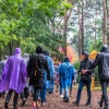 Foto Into the Woods
