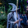 Foto Into The Woods 2017