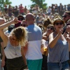 Foto Down The Rabbit Hole 2018