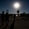 Foto Down The Rabbit Hole 2018