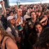 Foto Down The Rabbit Hole 2018