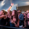 Foto Down The Rabbit Hole 2018