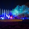 Foto Down The Rabbit Hole 2018