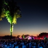 Foto Down The Rabbit Hole 2018