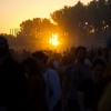 Foto Down The Rabbit Hole 2018