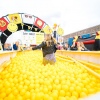 Foto Elrow Town Festival