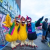 Foto Elrow Town Festival