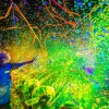 Foto Elrow Town Festival